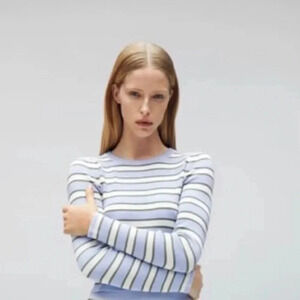 Zara Striped Crop Knit Sweater‎